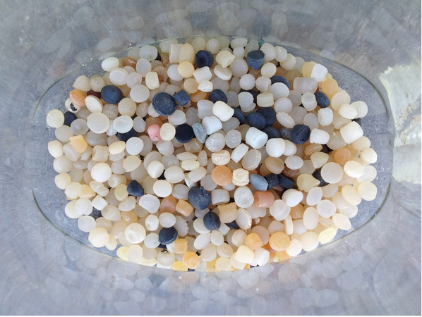The Plastic Pellet That Looks Exactly Like a Fish Egg