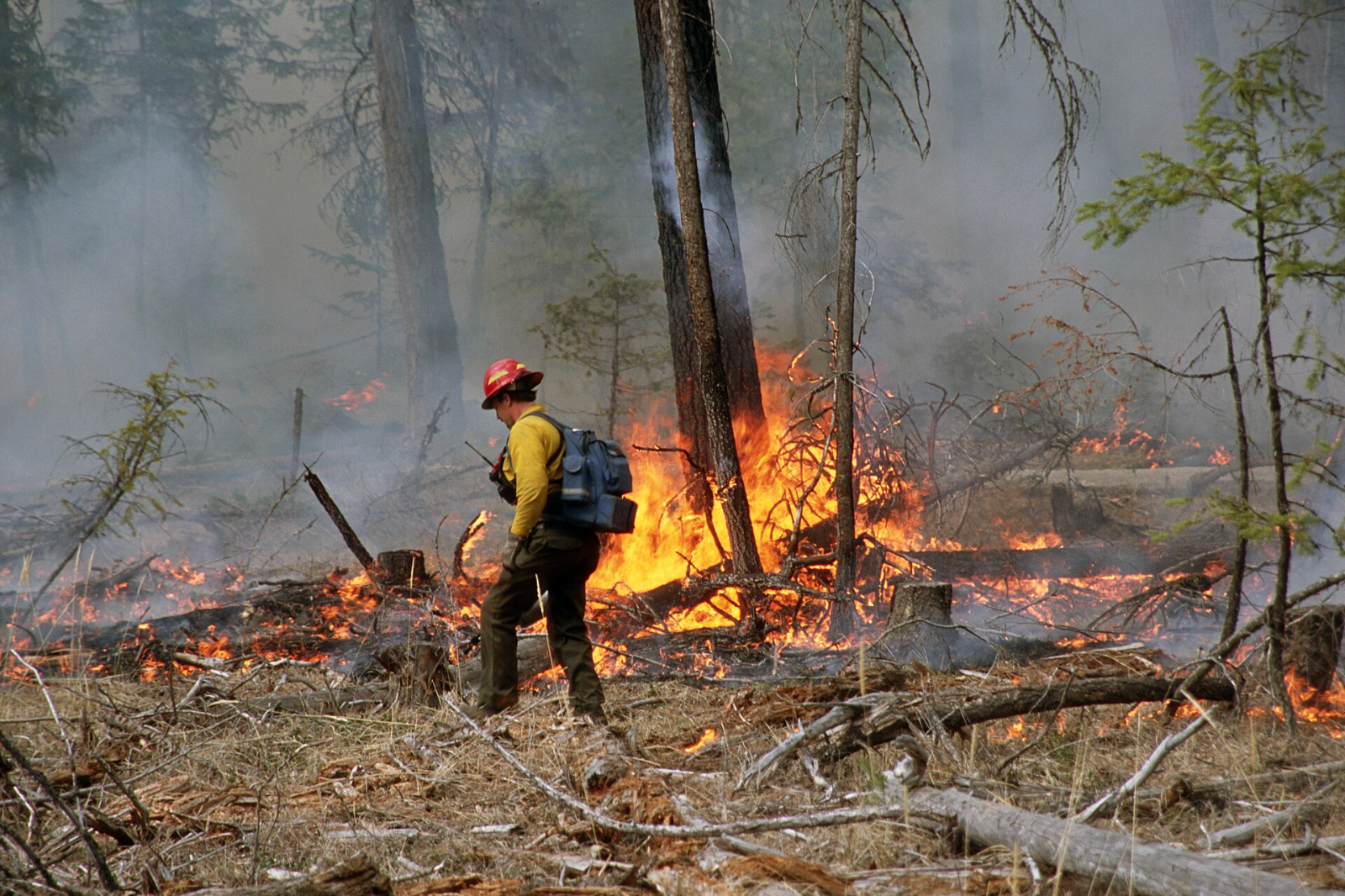 California Legalized Cultural Burning in 2022. Only Two Have Happened Since.
