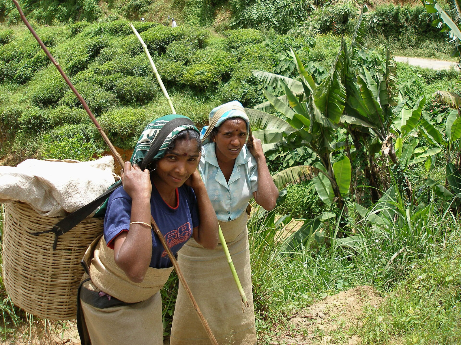 A Four Year Study Found Fair Trade Workers Sometimes Earn Less, Not More