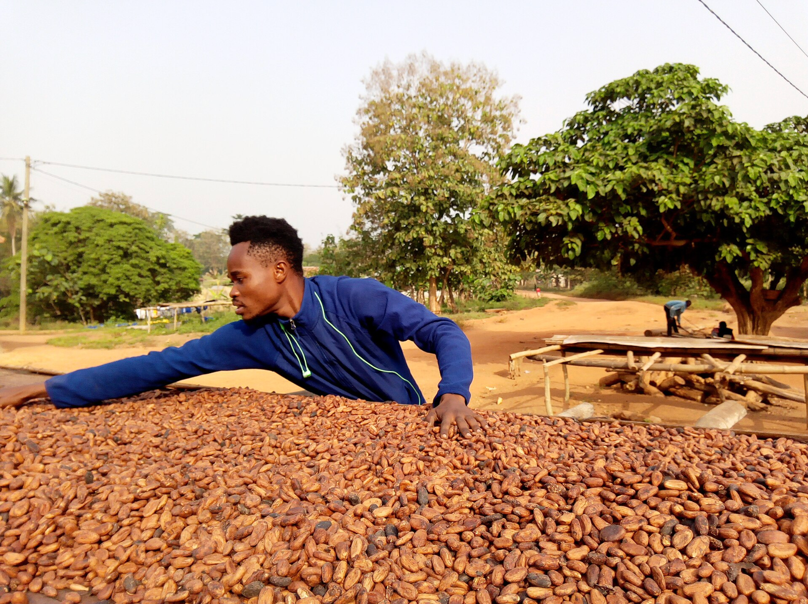 The Chocolate Industry Spent 215 Million Dollars Fighting Child Labor. It Went Up Anyway.