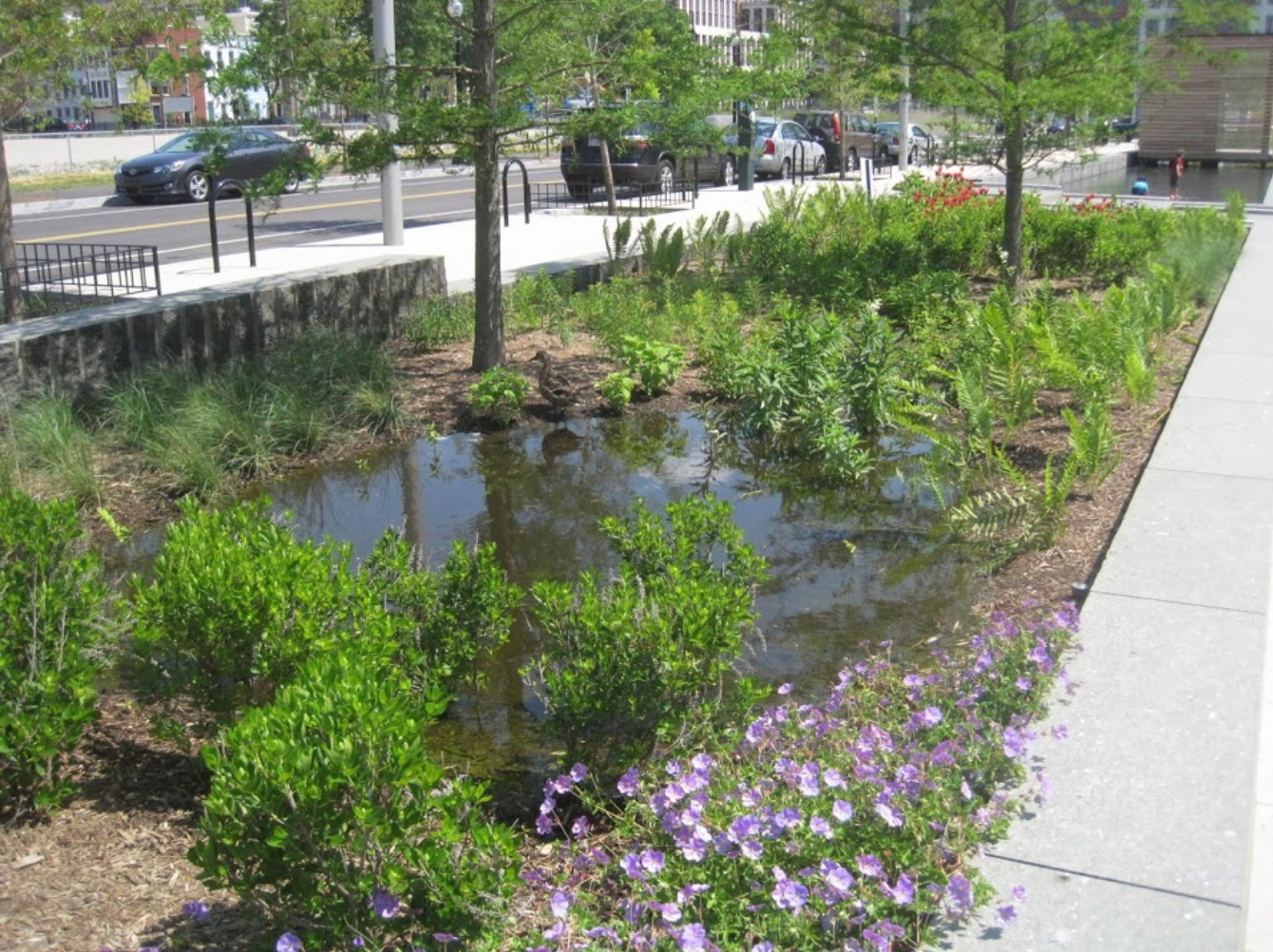 A Corner of a Parking Lot Could Become 2,500 Square Feet of Nature
