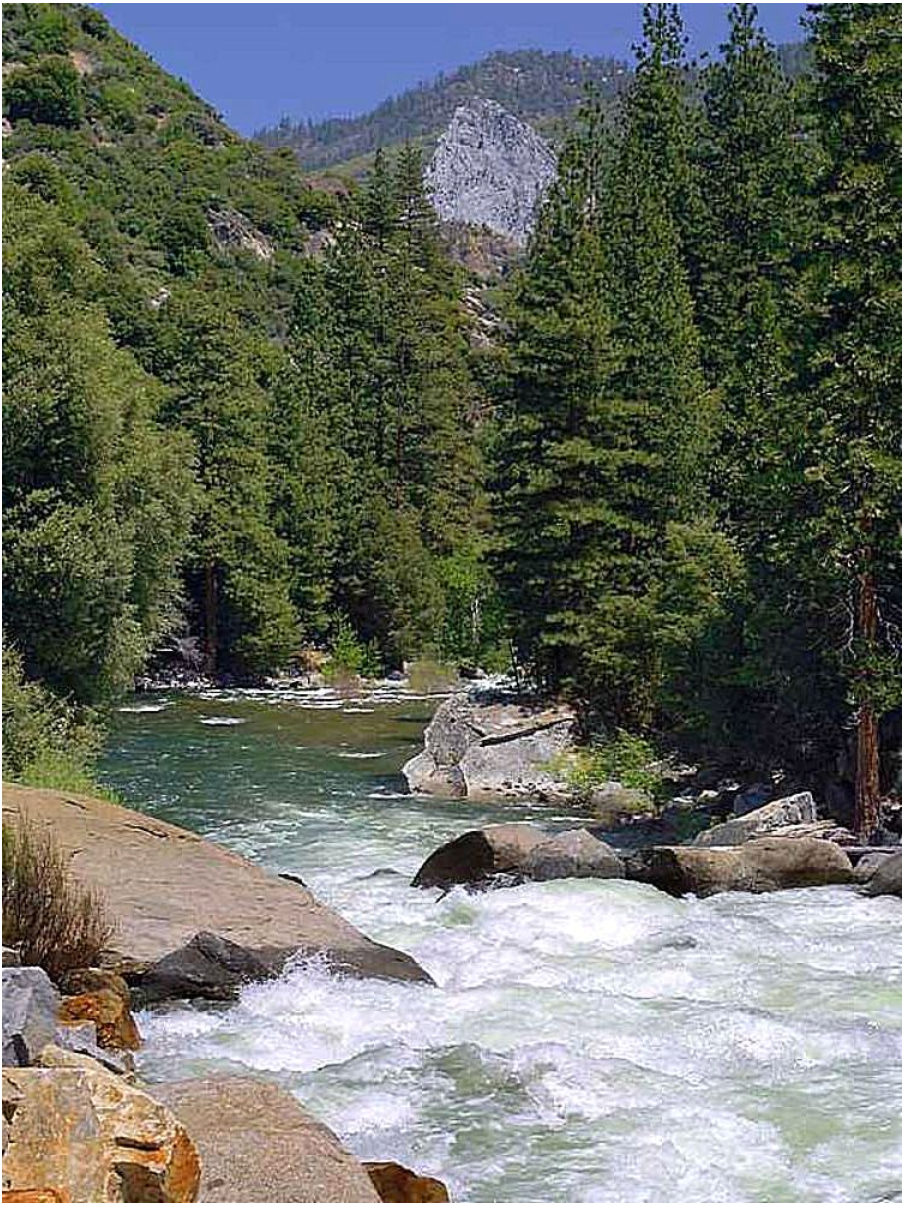 The Water You Drink Probably Traveled Through a Forest You’ve Never Seen