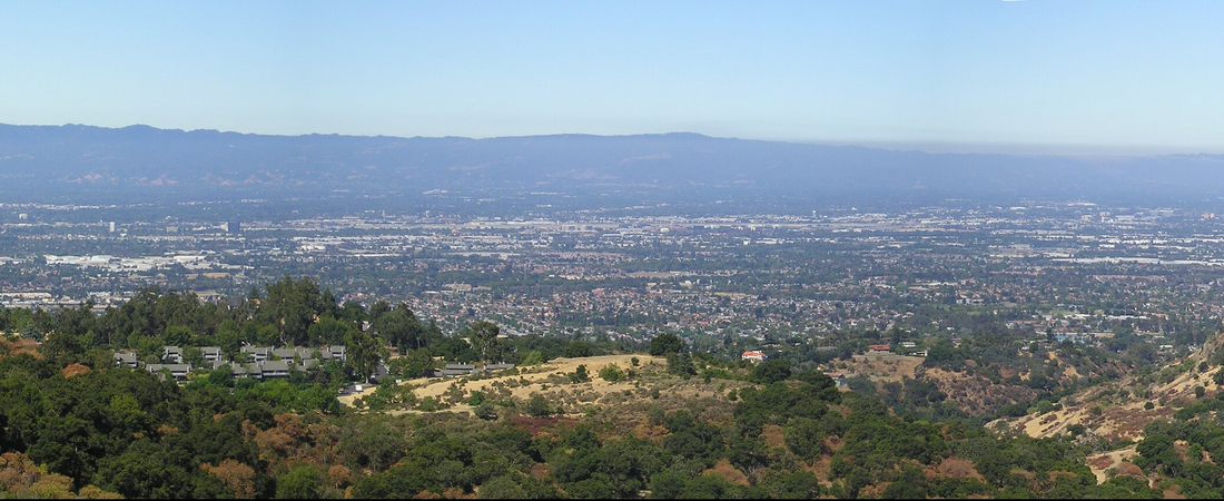 One Nonprofit Has Planted 75,000 Trees Here. The City’s Canopy Is Still Shrinking.