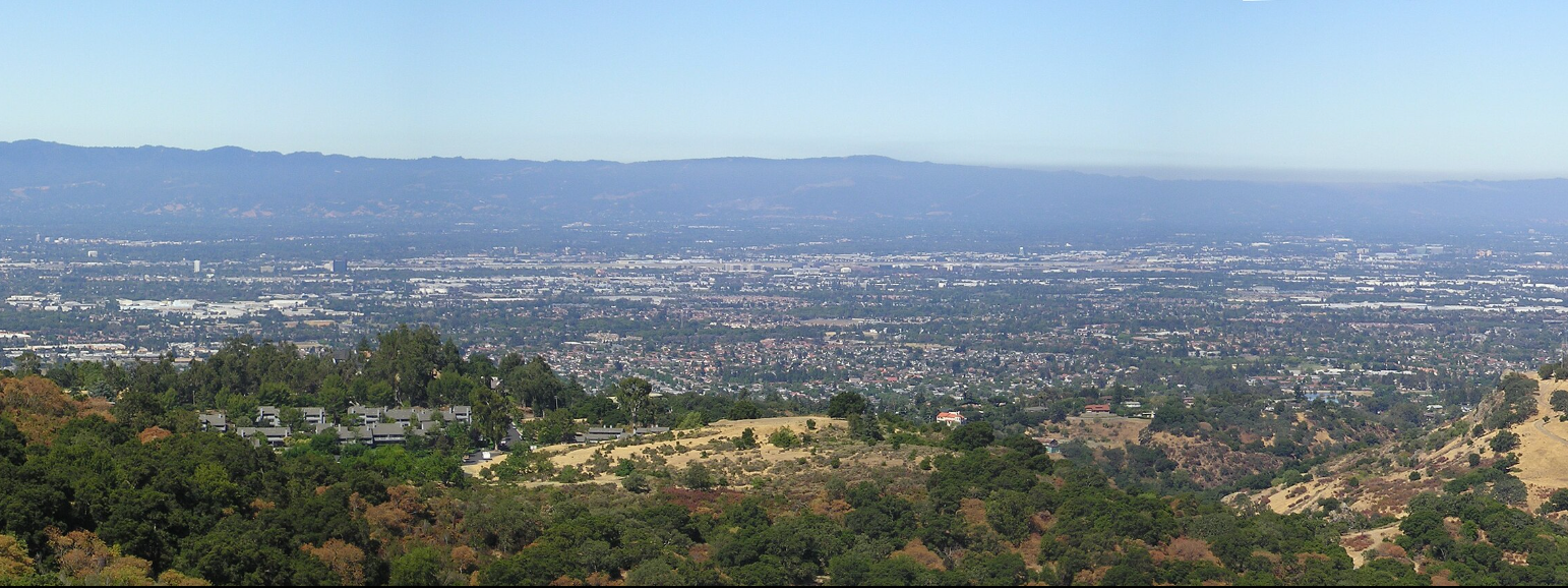 One Nonprofit Has Planted 75,000 Trees Here. The City’s Canopy Is Still Shrinking.